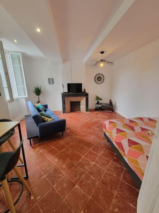 Appartement De Charme Avec Tomettes Et Parquet Graulhet Eksteriør billede
